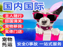 首都空运地址国际宠物托运 【国